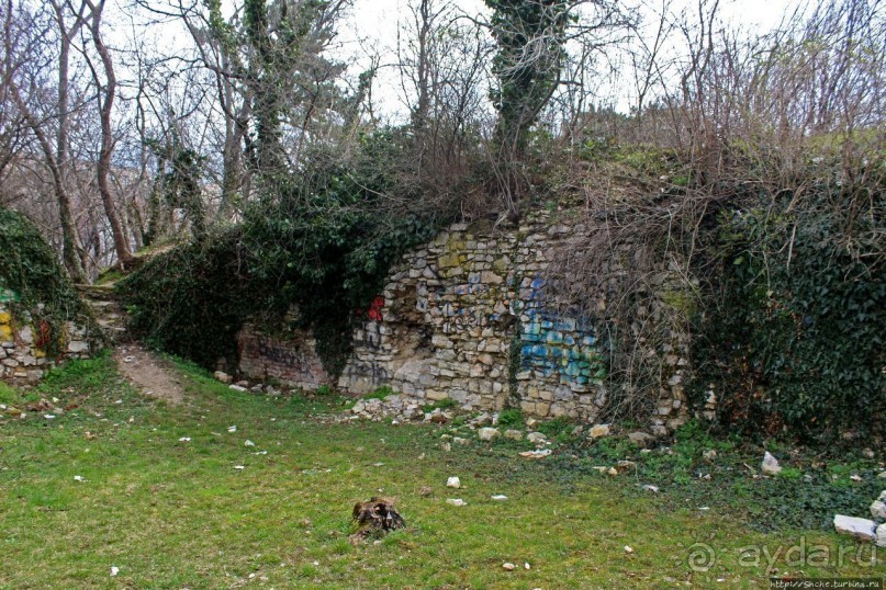 фото Веспрема