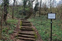 фото Веспрема