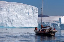 А-а... и горбатые киты