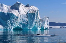 А-а... и горбатые киты