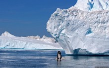 А-а... и горбатые киты