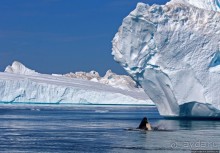 А-а... и горбатые киты