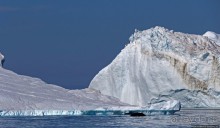 А-а... и горбатые киты