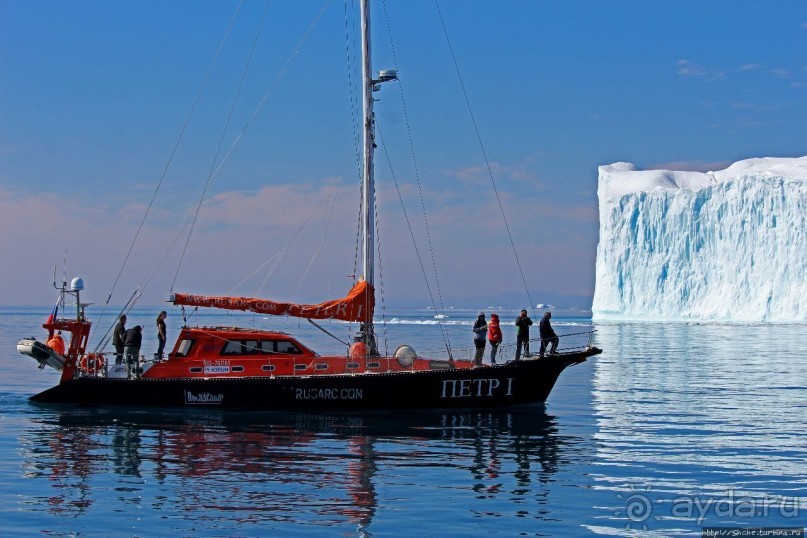А-а... и горбатые киты