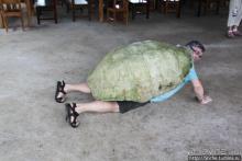 "А теперь покатай меня, Больша-я Тортуга..."