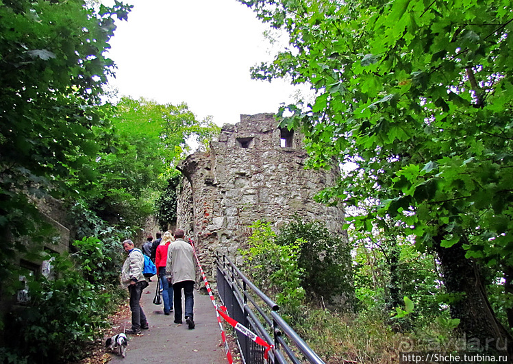 На фуникулере на гору Дракона — Драхенфельс (Drachenfels)