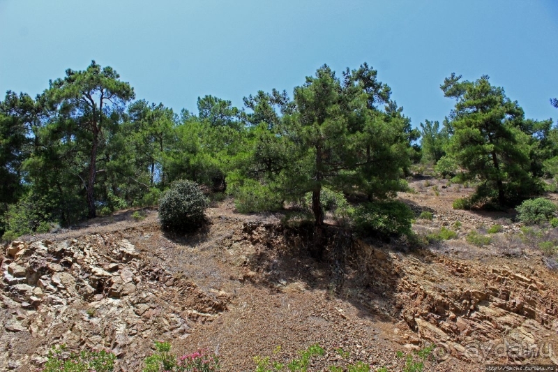 Церкви с росписями в районе Троодос. Агиасмати, ЮНЕСКО 351-9