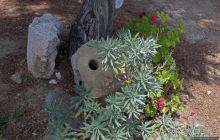 Церкви с росписями в районе Троодос. Агиасмати, ЮНЕСКО 351-9