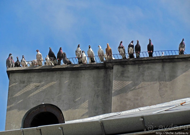 "Stare Miasto Люблин", в полном понимании слова "старый"