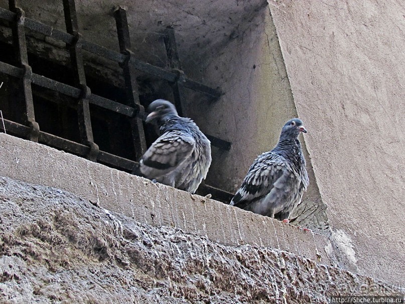 "Stare Miasto Люблин", в полном понимании слова "старый"