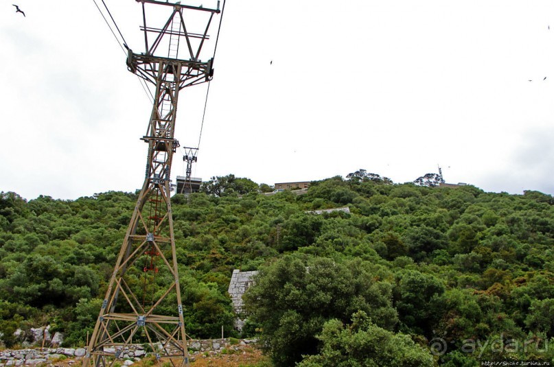 "Cable Car" на самый верх Гибралтара