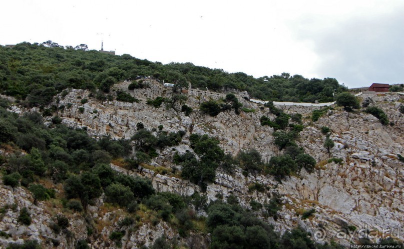 "Cable Car" на самый верх Гибралтара