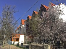 Ифран — "марокканская Швейцария"