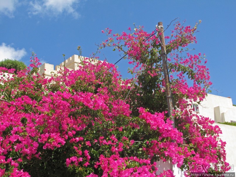 Фира — прекрасная столица Санторини, 2 часа тихого восторга