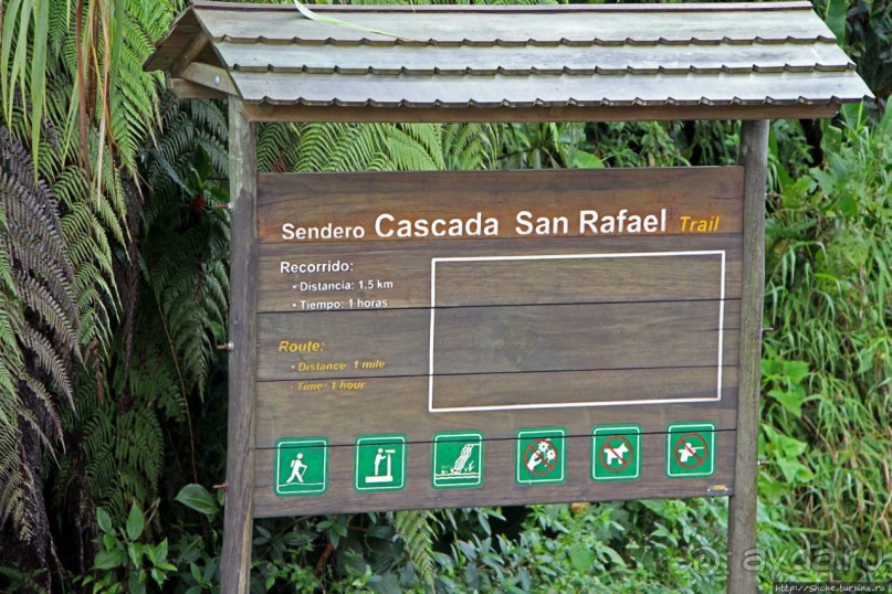 На радость ботаников: по экваториальному лесу в Эквадоре