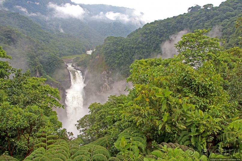 На радость ботаников: по экваториальному лесу в Эквадоре