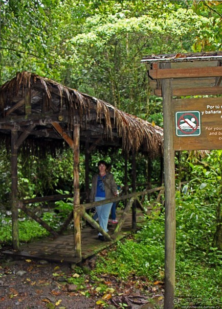 На радость ботаников: по экваториальному лесу в Эквадоре