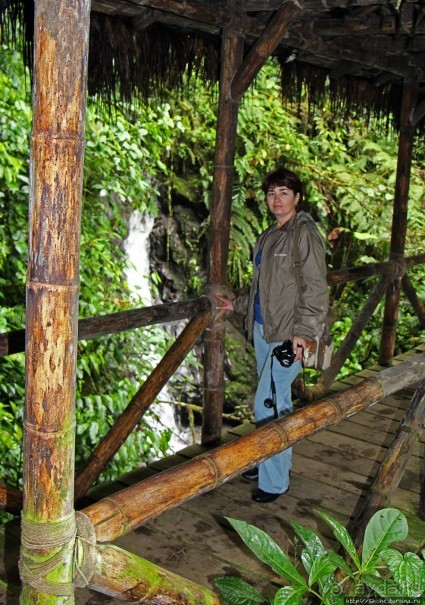 На радость ботаников: по экваториальному лесу в Эквадоре