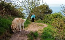 Альбом отзыва "Белая Скала — излюбленный "загород" жителей Розеля"