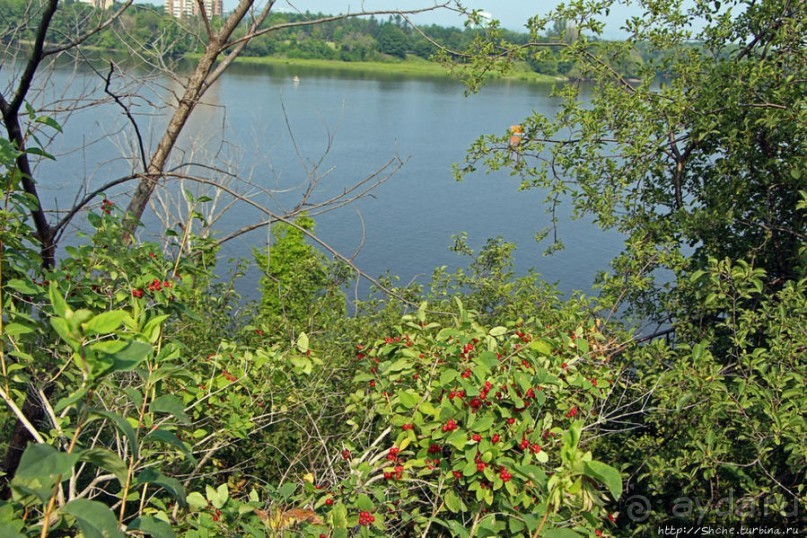 Просторы Оттавы-реки