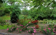 Монастырский остров на Днепре в Днепре