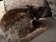 Дизайнерский отель почти в центре Саарбрюккена