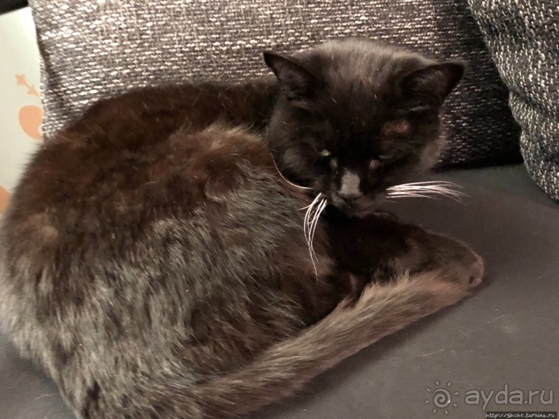 Дизайнерский отель почти в центре Саарбрюккена