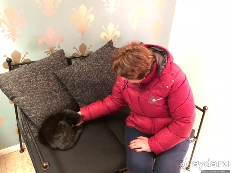 Дизайнерский отель почти в центре Саарбрюккена