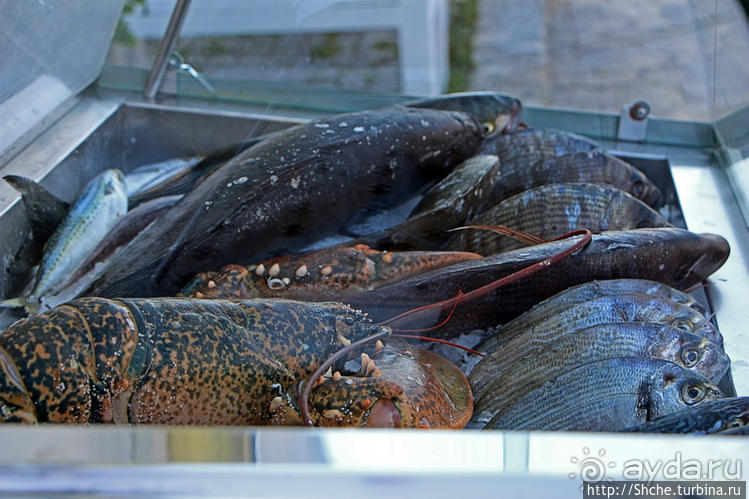 Отличная рыбная таверна с шикарной панорамой в Афитосе