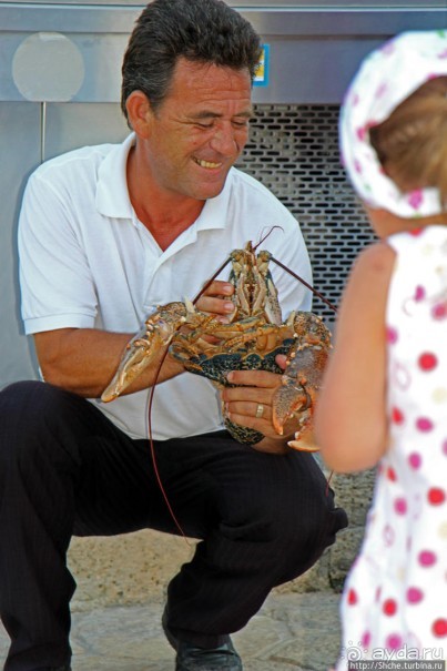 Отличная рыбная таверна с шикарной панорамой в Афитосе