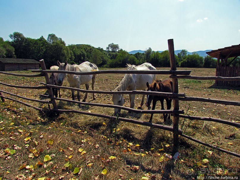 GPS доверяй, но по карте проверяй. По долинам и по взгорьям