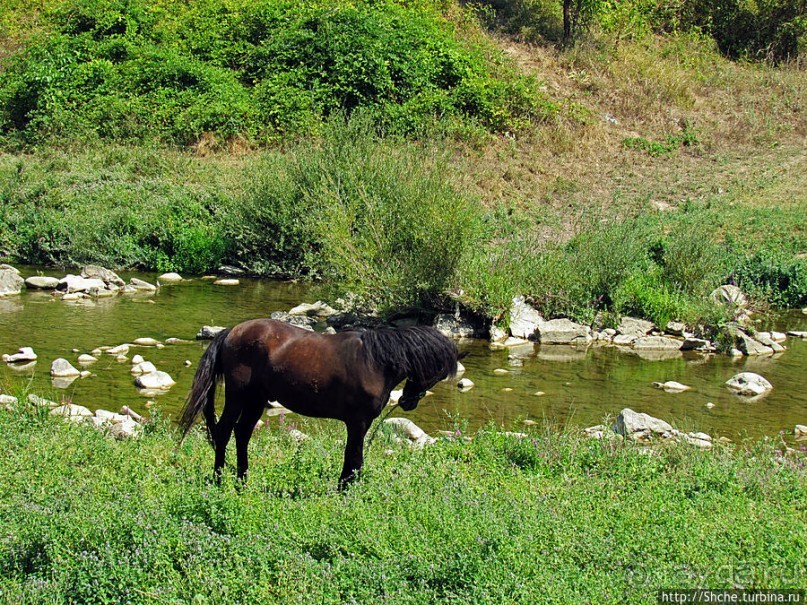 GPS доверяй, но по карте проверяй. По долинам и по взгорьям