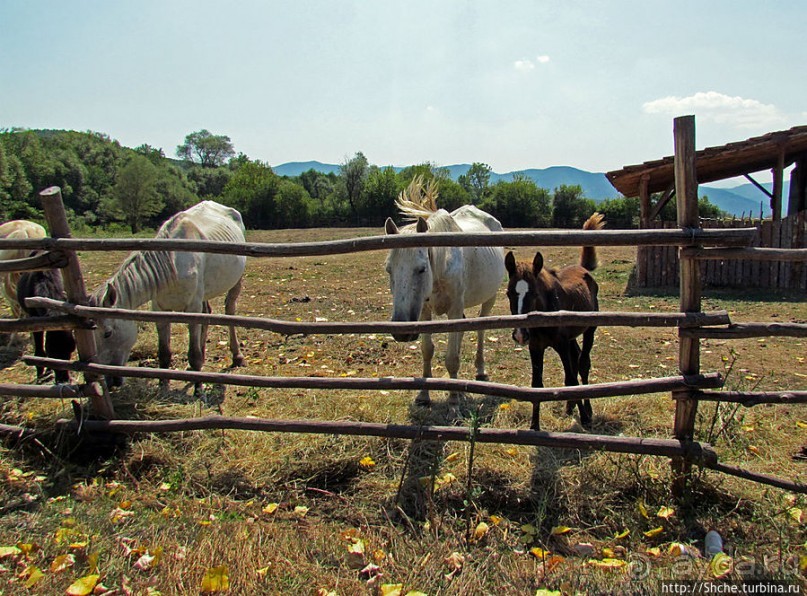 GPS доверяй, но по карте проверяй. По долинам и по взгорьям