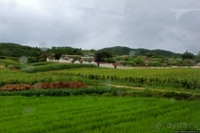 Катим по КНДР. Сельские пейзажи на северо-восток от Кэсона 