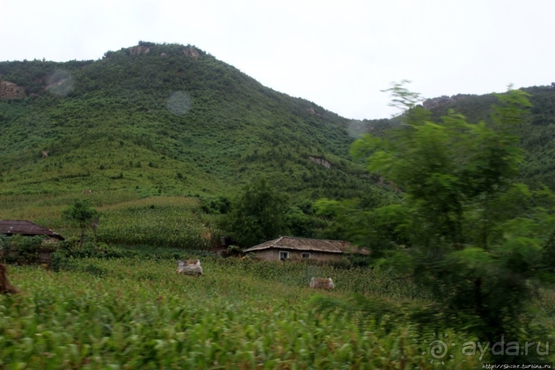 Катим по КНДР. Сельские пейзажи на северо-восток от Кэсона 