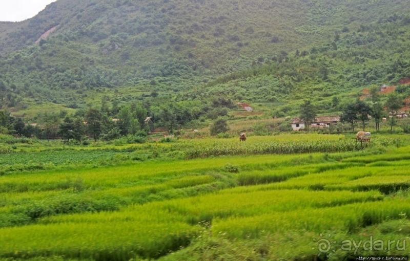 Катим по КНДР. Сельские пейзажи на северо-восток от Кэсона 