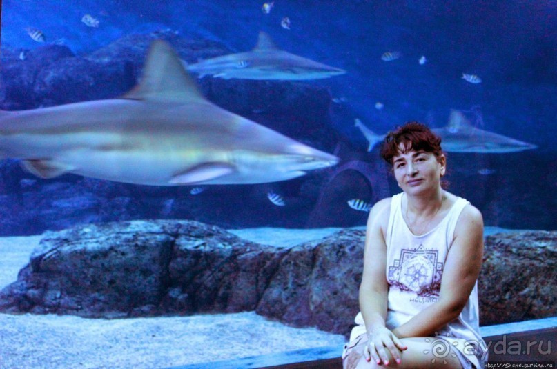 Сингапурский океанариум, крупнейший в мире
