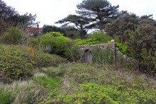 Западный Лулворт — английская Этрета, только без гламура