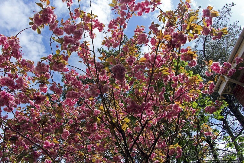 Западный Лулворт — английская Этрета, только без гламура