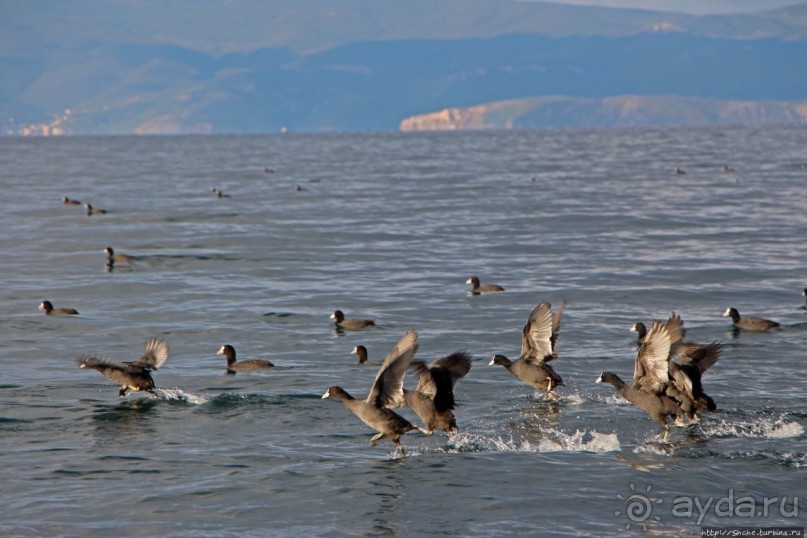 Мы на лодочке катались по Охриду-озеру
