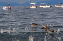 Мы на лодочке катались по Охриду-озеру