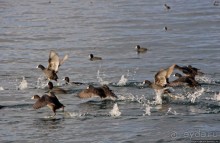 Мы на лодочке катались по Охриду-озеру