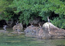 Мы на лодочке катались по Охриду-озеру