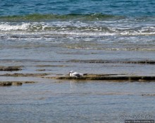 Восточное побережье Крита в картинках