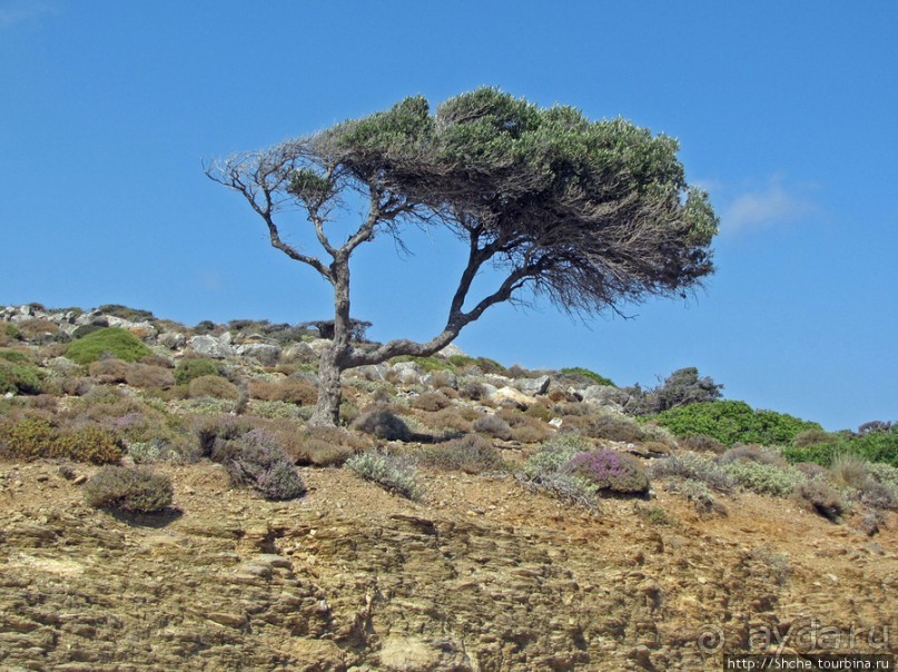 Восточное побережье Крита в картинках