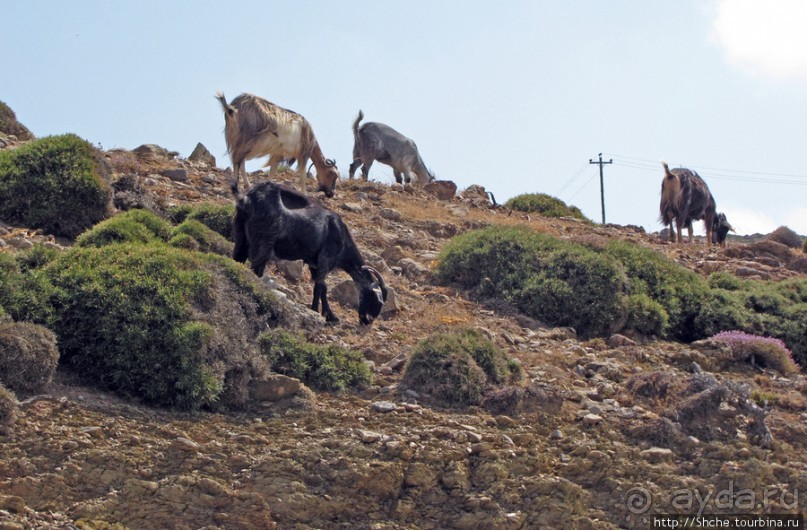 Восточное побережье Крита в картинках