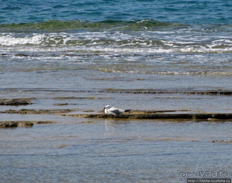 Восточное побережье Крита в картинках