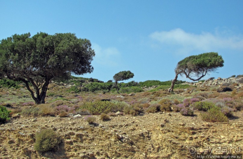 Восточное побережье Крита в картинках