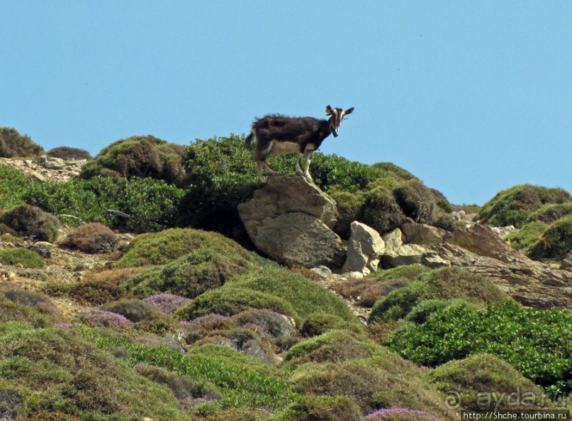 Восточное побережье Крита в картинках