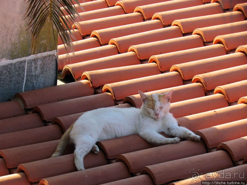 Прогулка по крепостной стене Старой Будвы